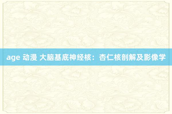 age 动漫 大脑基底神经核：杏仁核剖解及影像学