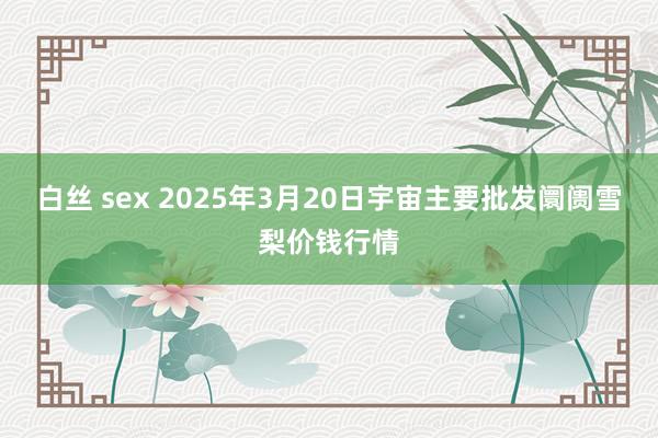 白丝 sex 2025年3月20日宇宙主要批发阛阓雪梨价钱行情