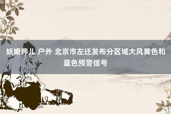 妖媚婷儿 户外 北京市左迁发布分区域大风黄色和蓝色预警信号
