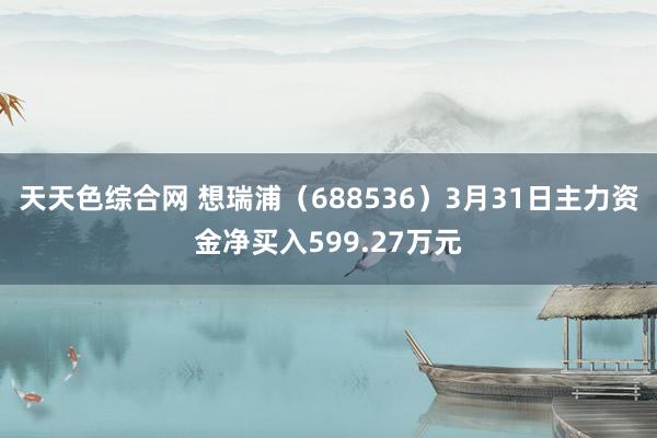 天天色综合网 想瑞浦（688536）3月31日主力资金净买入599.27万元