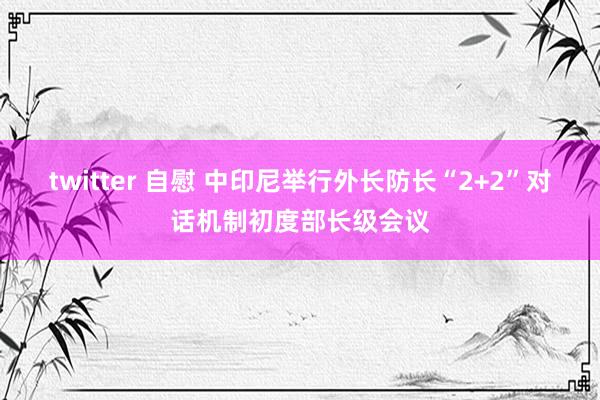 twitter 自慰 中印尼举行外长防长“2+2”对话机制初度部长级会议