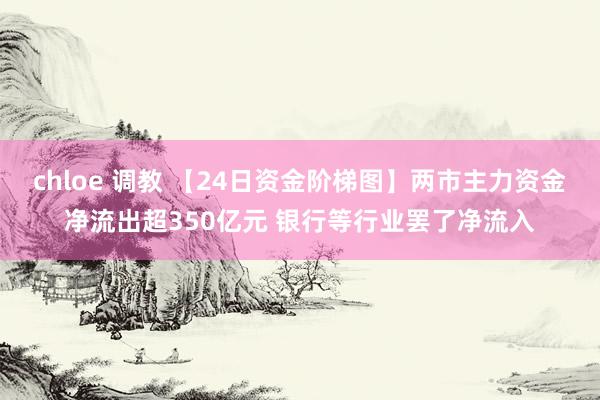 chloe 调教 【24日资金阶梯图】两市主力资金净流出超350亿元 银行等行业罢了净流入