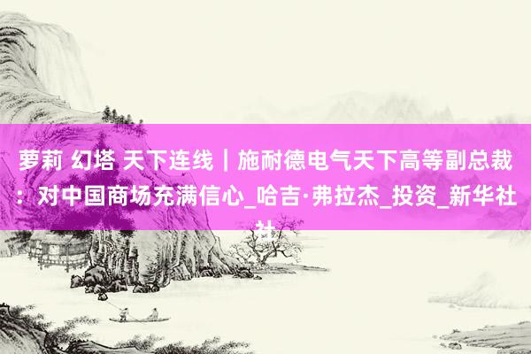 萝莉 幻塔 天下连线｜施耐德电气天下高等副总裁：对中国商场充满信心_哈吉·弗拉杰_投资_新华社