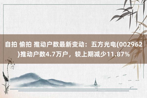 自拍 偷拍 推动户数最新变动：五方光电(002962)推动户数4.7万户，较上期减少11.87%