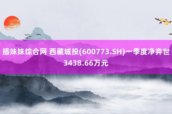插妹妹综合网 西藏城投(600773.SH)一季度净弃世3438.66万元