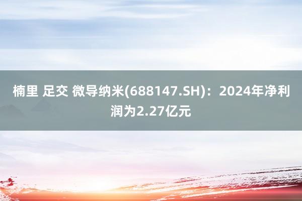 楠里 足交 微导纳米(688147.SH)：2024年净利润为2.27亿元